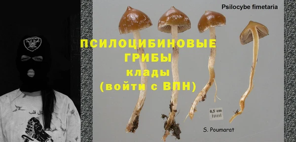 хмурый Лиски