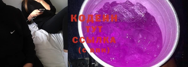 хмурый Лиски