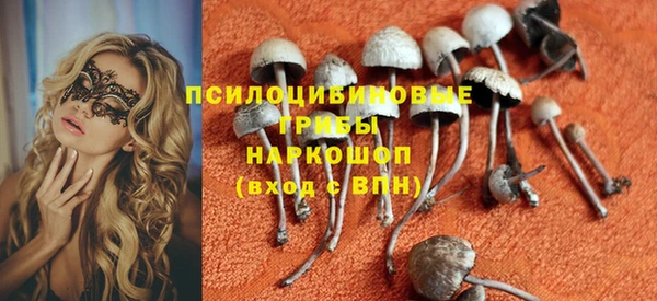 хмурый Лиски