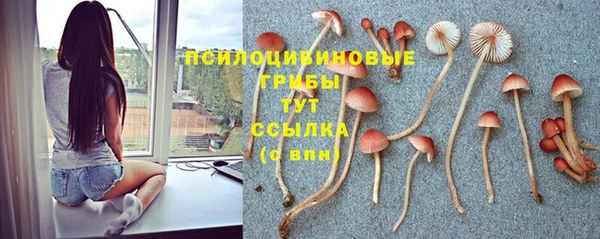 круглые Липки