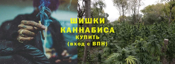 прущие грибы Лихославль