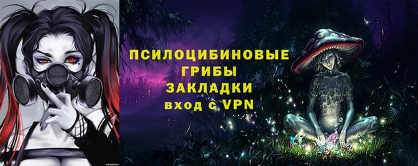 прущие грибы Лихославль