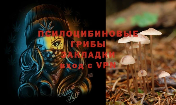 хмурый Лиски