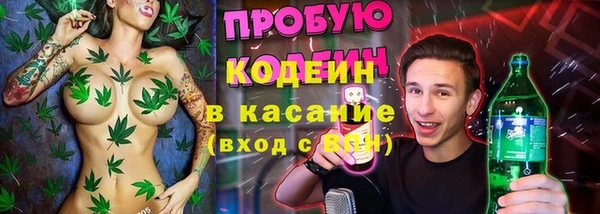 хмурый Лиски