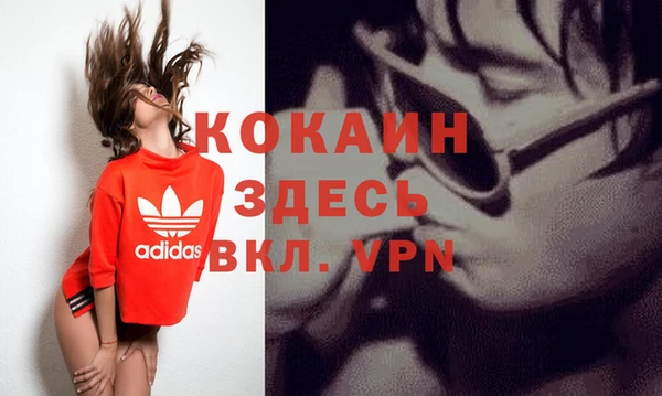 прущие грибы Лихославль