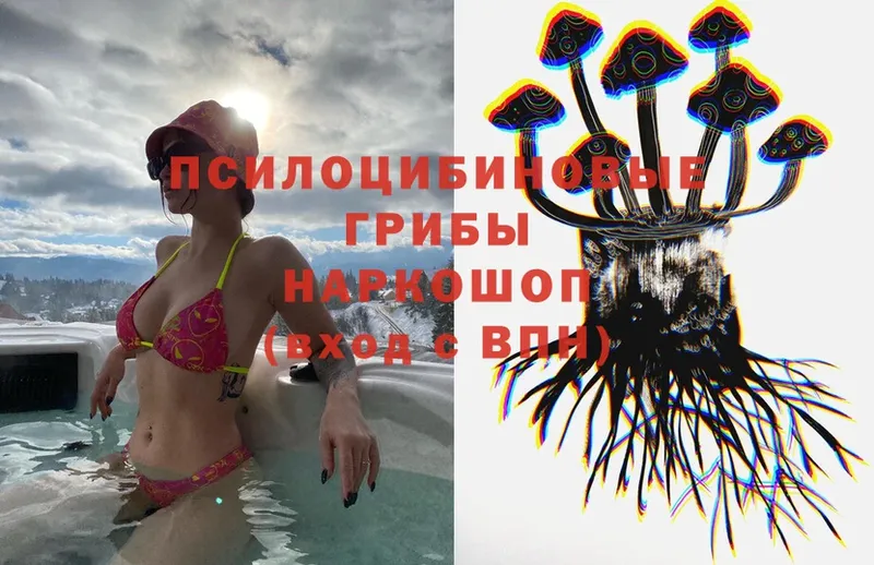 Галлюциногенные грибы Psilocybe  как найти закладки  Сим 